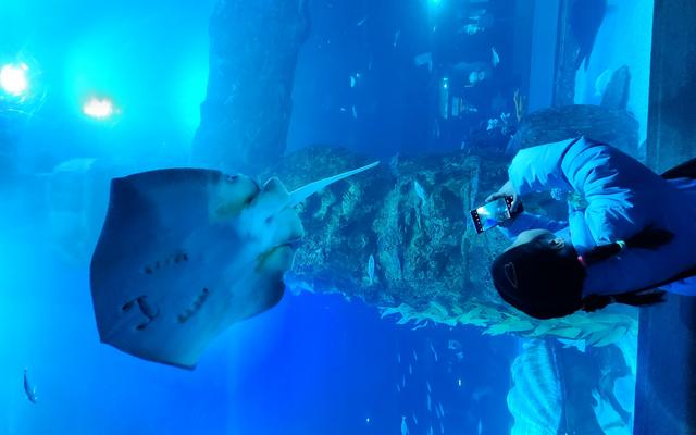 리뷰 대표 이미지