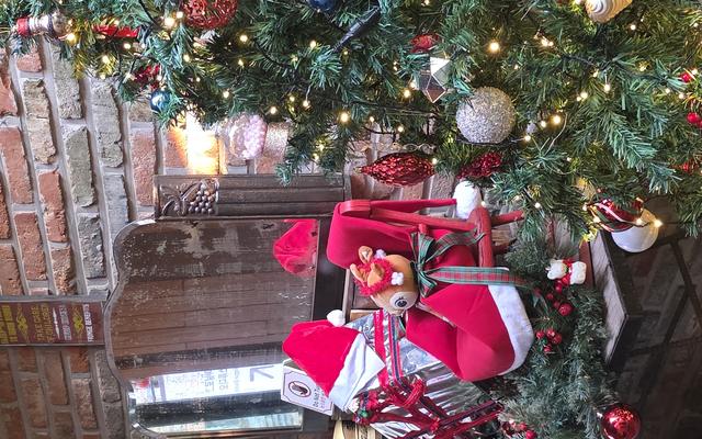 리뷰 대표 이미지