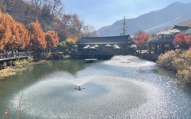 리뷰 대표 이미지