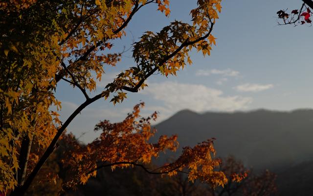 리뷰 대표 이미지