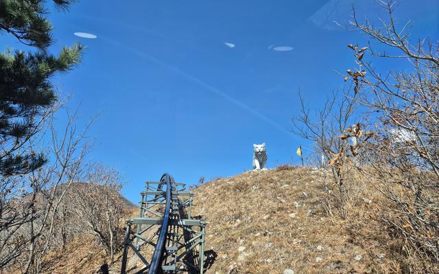 리뷰 대표 이미지