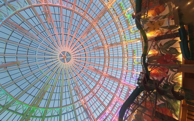 리뷰 대표 이미지