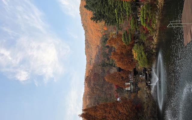 리뷰 대표 이미지