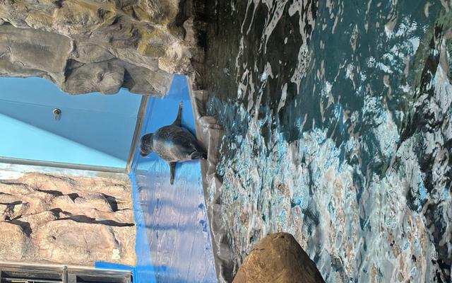 리뷰 대표 이미지