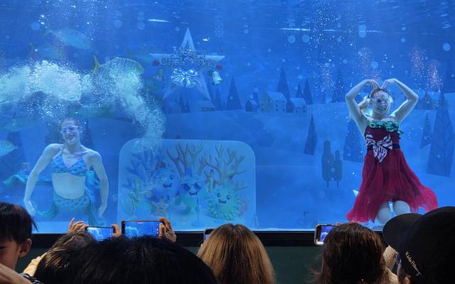 리뷰 대표 이미지