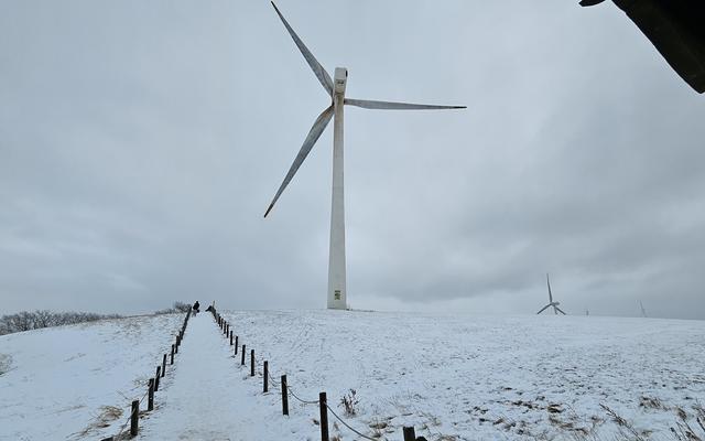 리뷰 대표 이미지