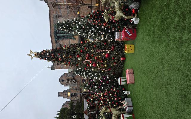 리뷰 대표 이미지