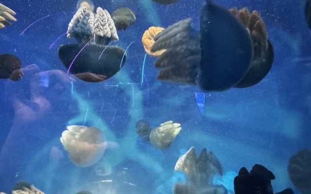 리뷰 대표 이미지