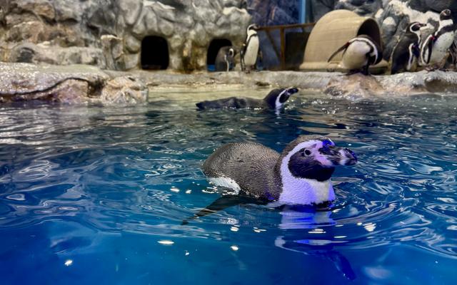 리뷰 대표 이미지