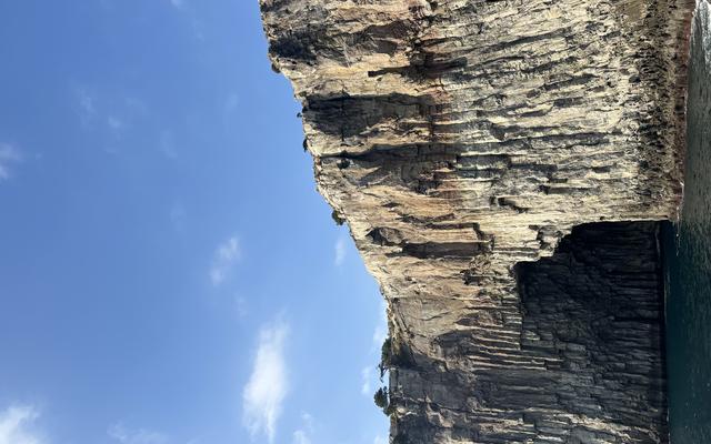 리뷰 대표 이미지