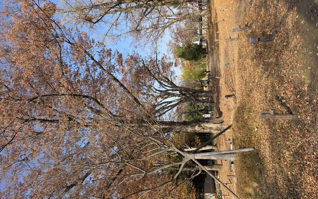 리뷰 대표 이미지