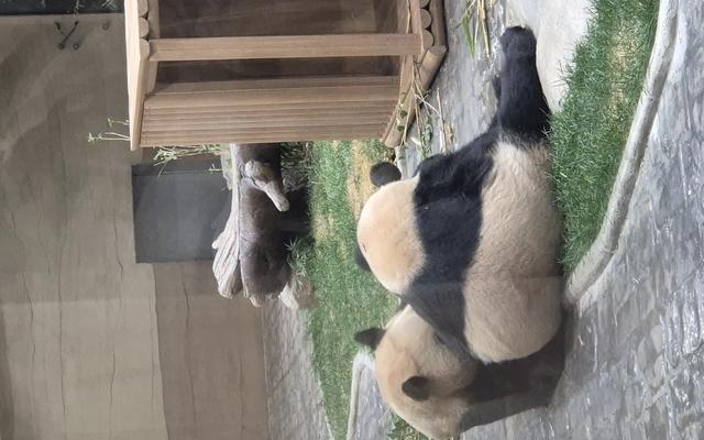 리뷰 대표 이미지