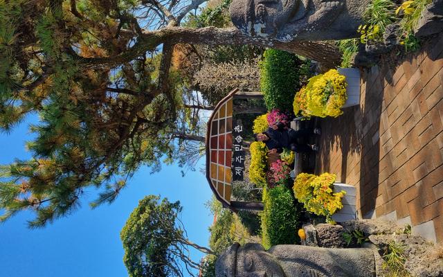 리뷰 대표 이미지