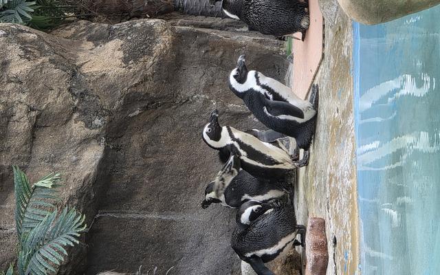 리뷰 대표 이미지