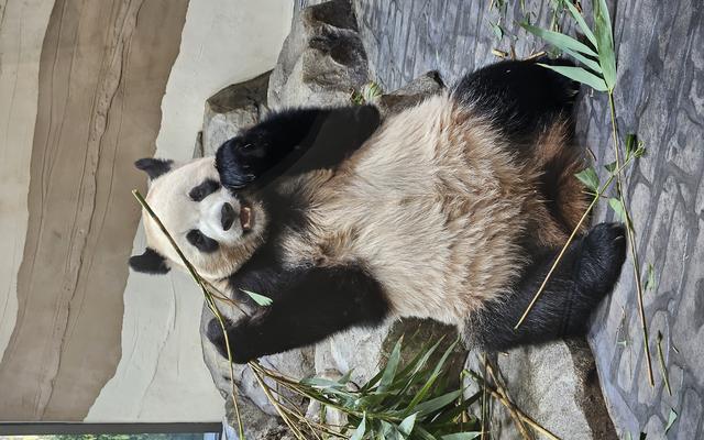 리뷰 대표 이미지