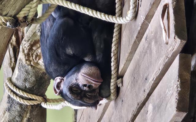 리뷰 대표 이미지