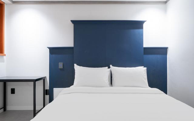 대전 둔산 로데오