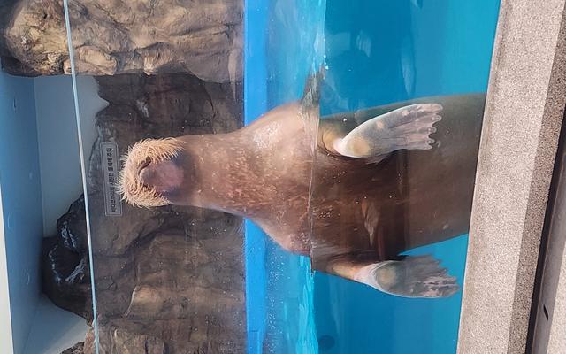 리뷰 대표 이미지