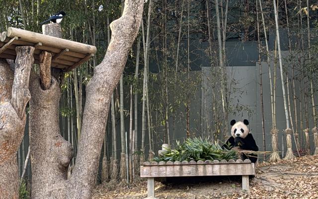 리뷰 대표 이미지