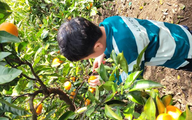 리뷰 대표 이미지