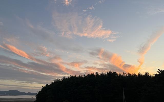 서산 아름드리펜션 사진