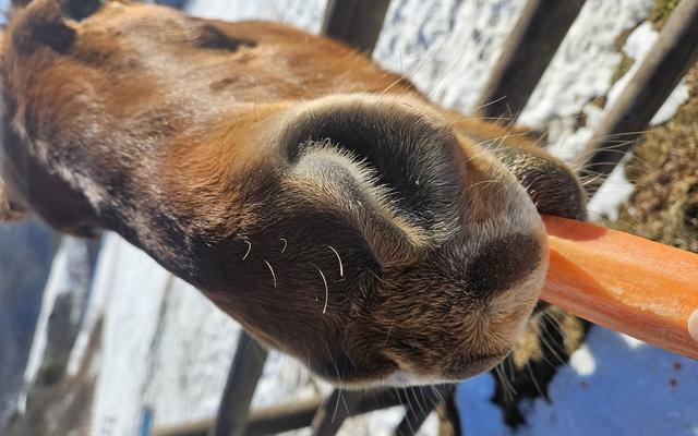 리뷰 대표 이미지