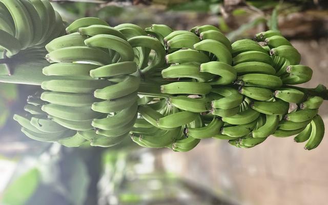 리뷰 대표 이미지