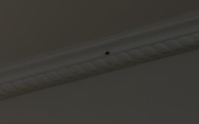 썸네일_4