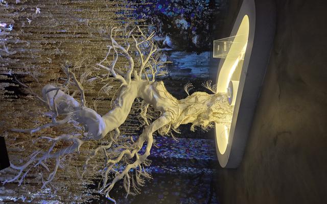 리뷰 대표 이미지