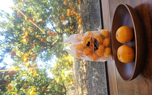 리뷰 대표 이미지