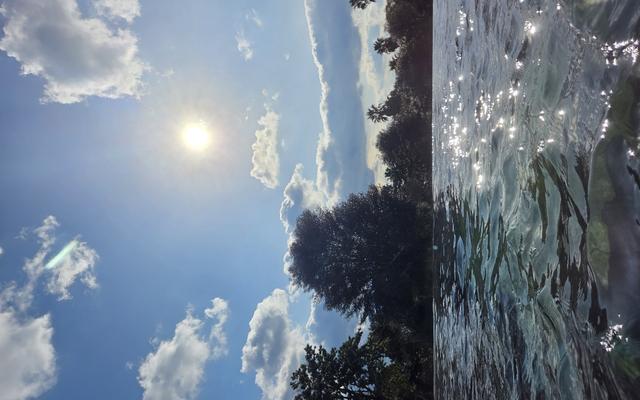 리뷰 대표 이미지