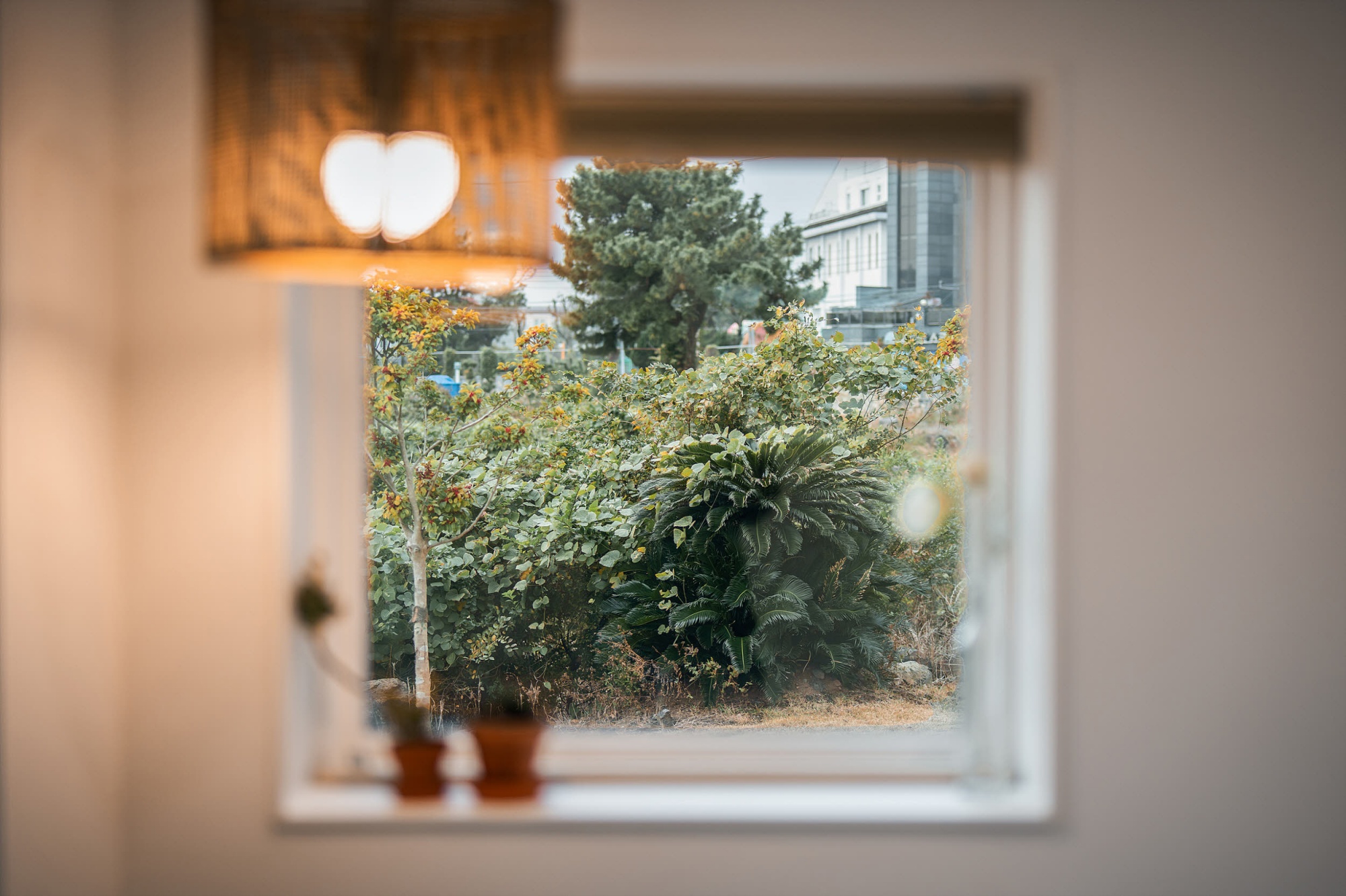 D동(야외수영장+침대3+개별바베큐+욕실2)