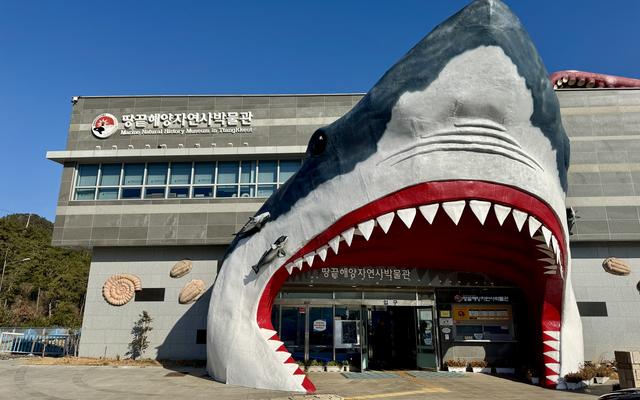 리뷰 대표 이미지