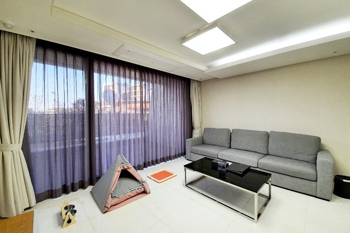 Pet Suite A type(단독특가★)