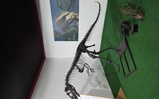 리뷰 대표 이미지