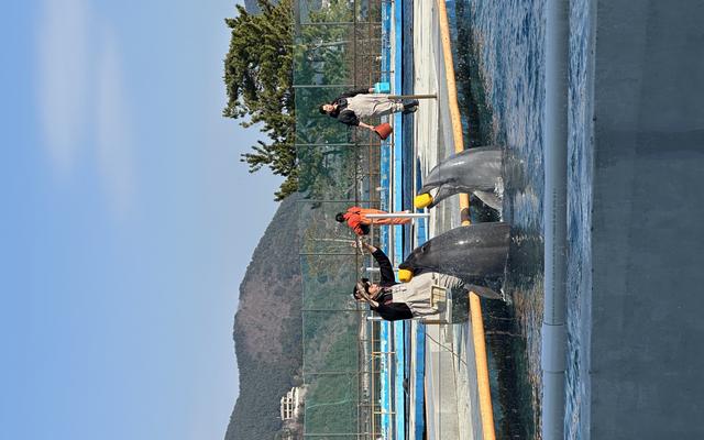 리뷰 대표 이미지