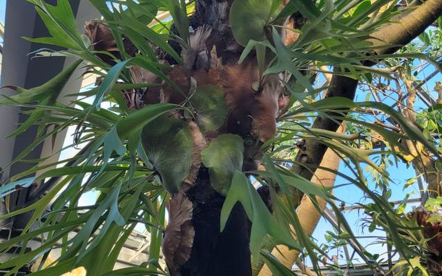 리뷰 대표 이미지