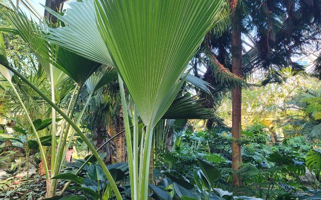 리뷰 대표 이미지