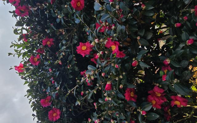 리뷰 대표 이미지