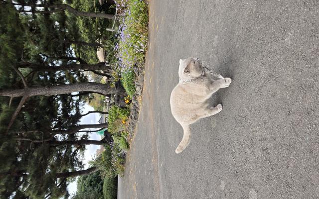 리뷰 대표 이미지