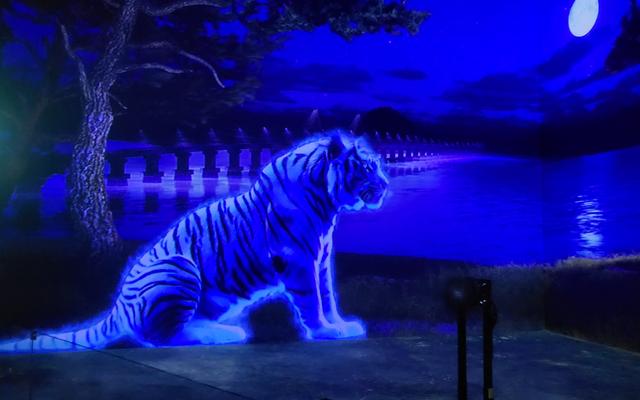 리뷰 대표 이미지