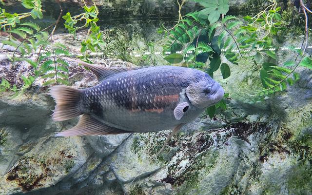 리뷰 대표 이미지