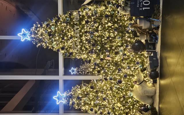 리뷰 대표 이미지