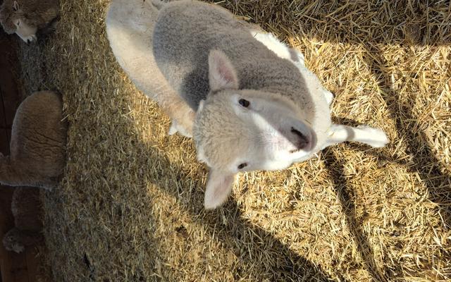 리뷰 대표 이미지