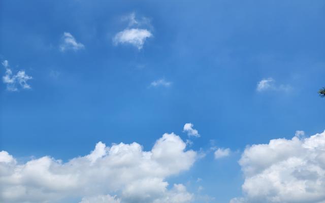 리뷰 대표 이미지