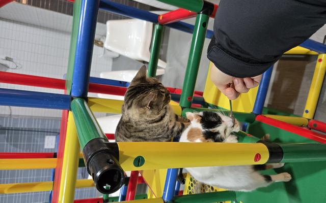 리뷰 대표 이미지