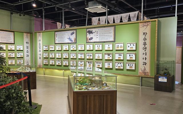 리뷰 대표 이미지