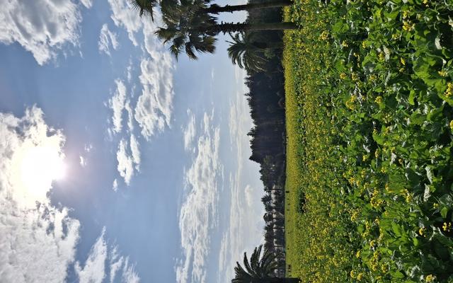 리뷰 대표 이미지