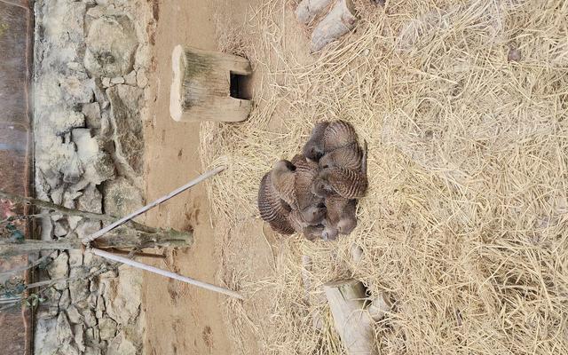 리뷰 대표 이미지