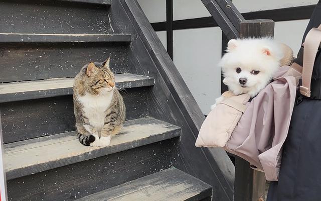 리뷰 대표 이미지